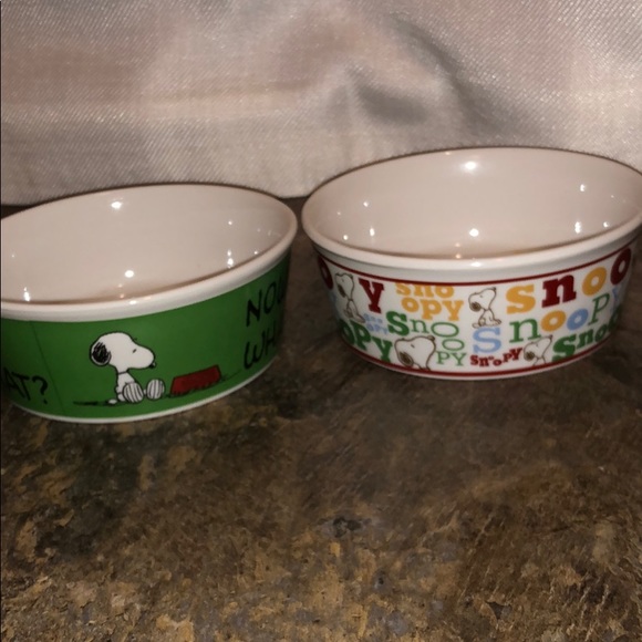 Peanuts/ snoopy pet bowls